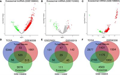 Comprehensive In Silico Analysis of a Novel Serum Exosome-Derived Competitive Endogenous RNA Network for Constructing a Prognostic Model for Glioblastoma